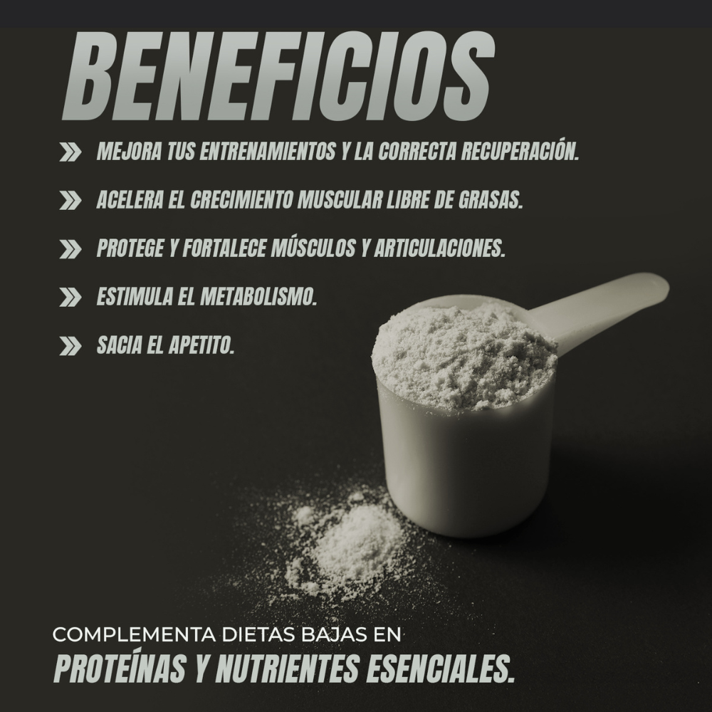 WHEY PROTEIN VAINILLA - Ferco Nutrition