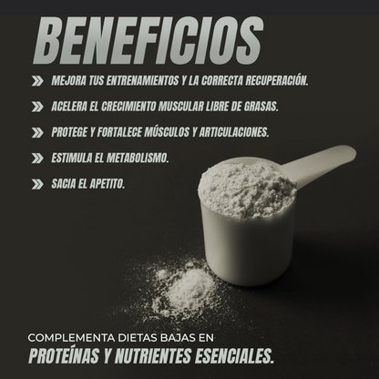 WHEY PROTEIN VAINILLA - Ferco Nutrition
