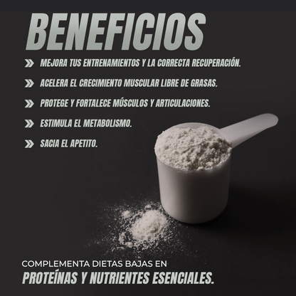WHEY PROTEIN FRESA - Ferco Nutrition